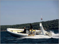 rent a exclusive speed boat - FLYER 646 Golden with Honda 150VTEC HP