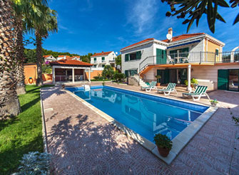 Rustic palm tree villa with swimming pool in Sumartin, Brač Island