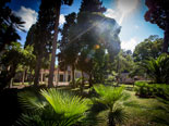 The park of the luxury villa in Dubrovnik for rent