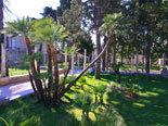 The park of the luxury villa in Dubrovnik for rent