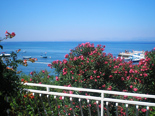 View from upper flor in holiday villa with pool in Mirca on Brac Island  