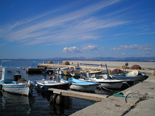 Fisherman's port in the village near luxury villa for rent on island Brac in Dalmatia in Croatia 