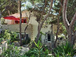 Another view on Hvar renatal villa through pine trees and other vegetation