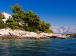 The pool of the modern Dalmatian seafront villa with pool on Brac Island in Split region