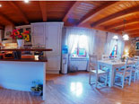 Kitchen and dining area of the luxury Konavle villa