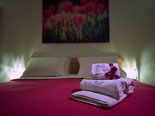 Dalmatia Luxury Villa in Jesenice