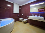 Dalmatia Luxury Villa in Jesenice