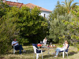 Enjoying the orchard in front of this rental house in Stari Grad