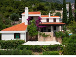 Villa with swimming pool in Baška Voda on Makarska Riviera